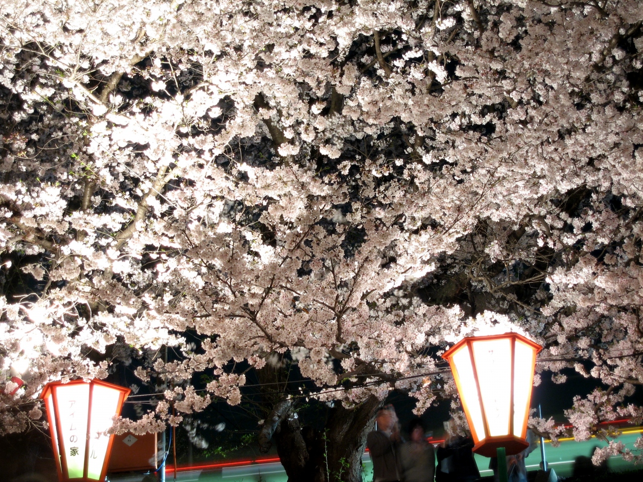 原チャでゴー第８弾 桜を求めて彷徨うpiano 岡山市 岡山県 の旅行記 ブログ By Pianoさん フォートラベル