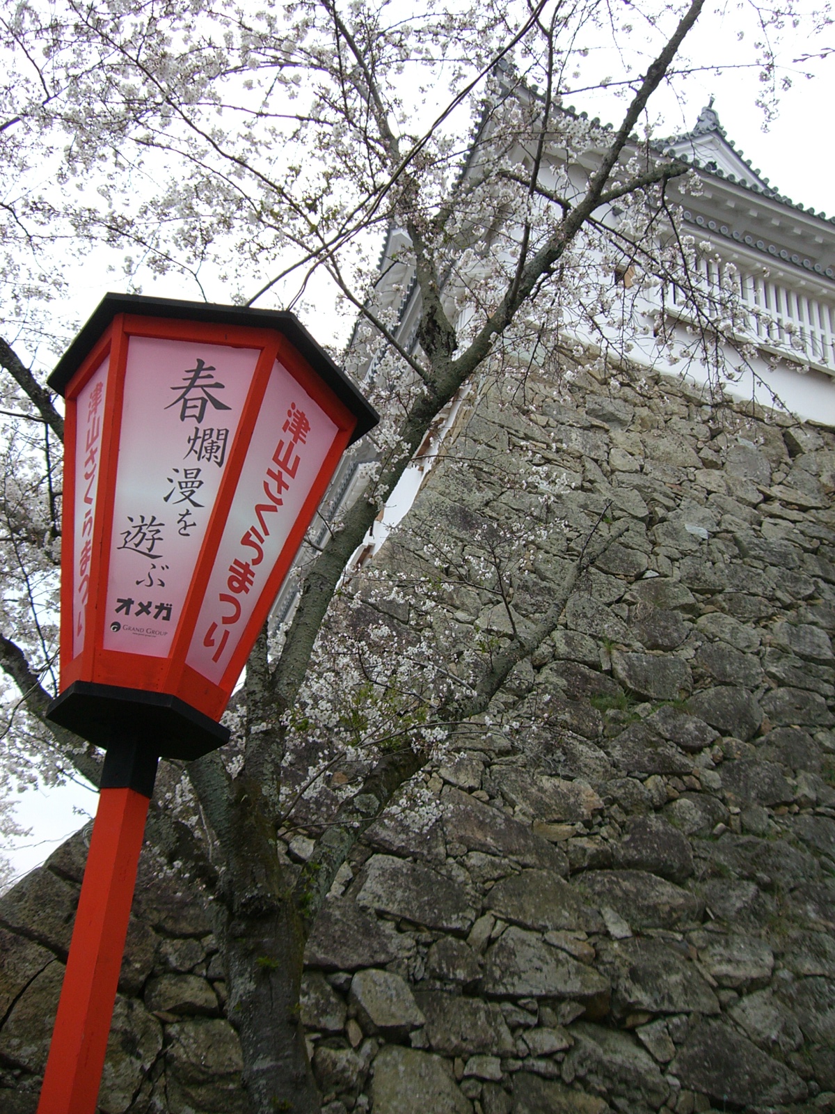 津山鶴山公園でお花見 津山 岡山県 の旅行記 ブログ By Michiyo41さん フォートラベル