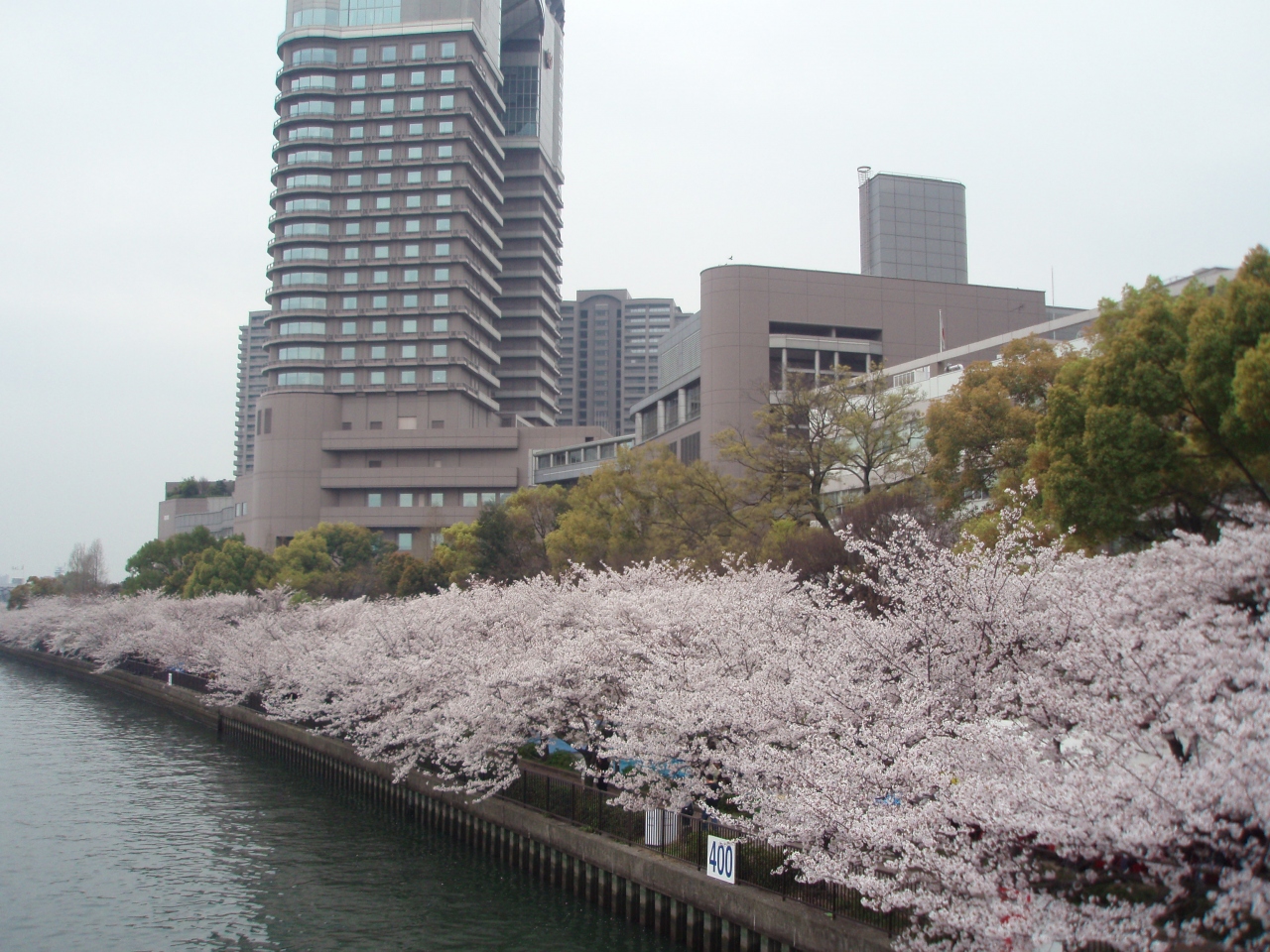 2007 大阪へお花見に 大阪城 京橋 大阪 の旅行記 ブログ By るーこさん フォートラベル 2007 大阪へお花見に 大阪城 京橋 大阪 の旅行記 ブログ By るーこさん フォートラベル
