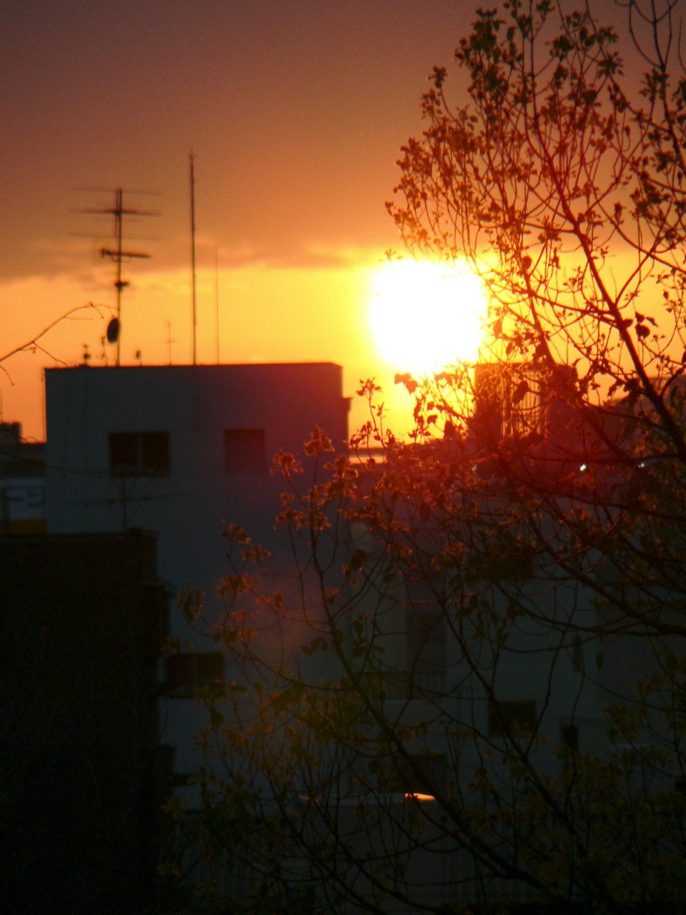日本の旅 大阪の桜 ４ 夕陽丘の夕日と桜 大阪の旅行記 ブログ By さすらいおじさんさん フォートラベル