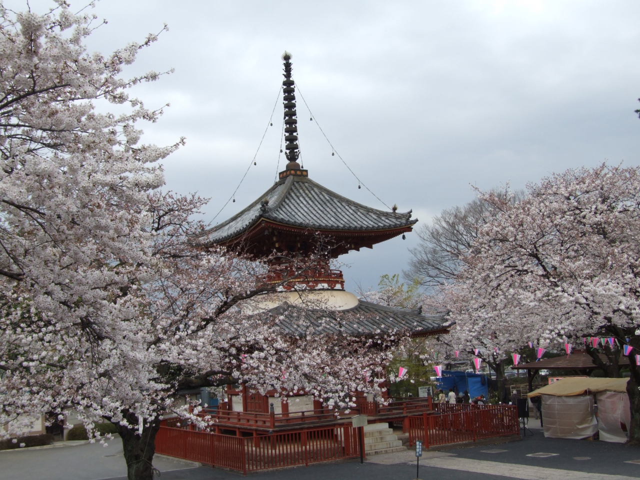 お花見in川越 川越 埼玉県 の旅行記 ブログ By つるぎまるさん フォートラベル