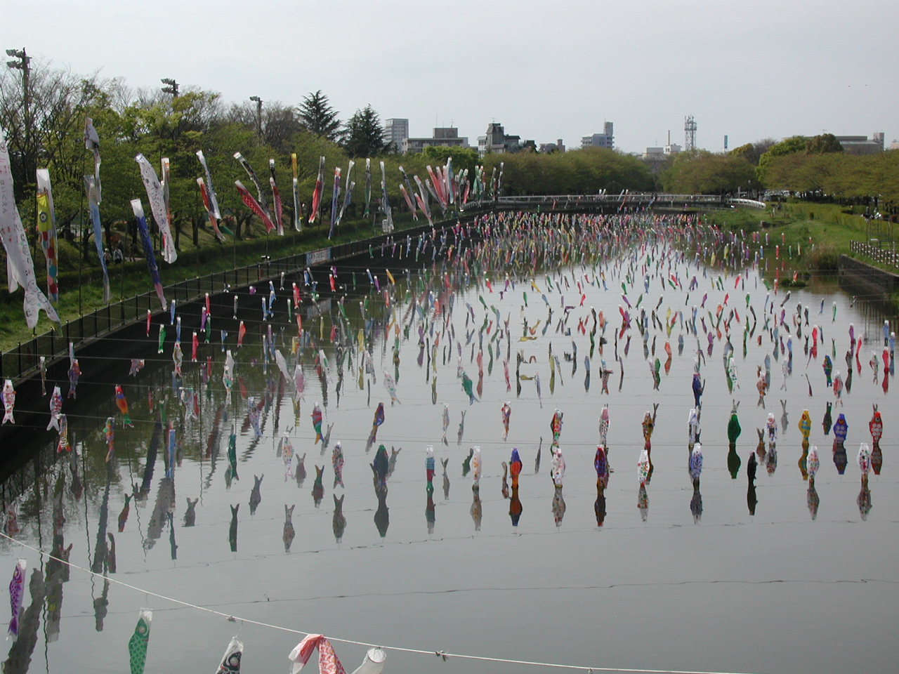 館林市を散策 第二公園の鯉のぼり 館林 群馬県 の旅行記 ブログ By いっちゃんさん フォートラベル 館林市を散策 第二公園の鯉のぼり 館林 群馬県 の旅行記 ブログ By いっちゃんさん フォートラベル