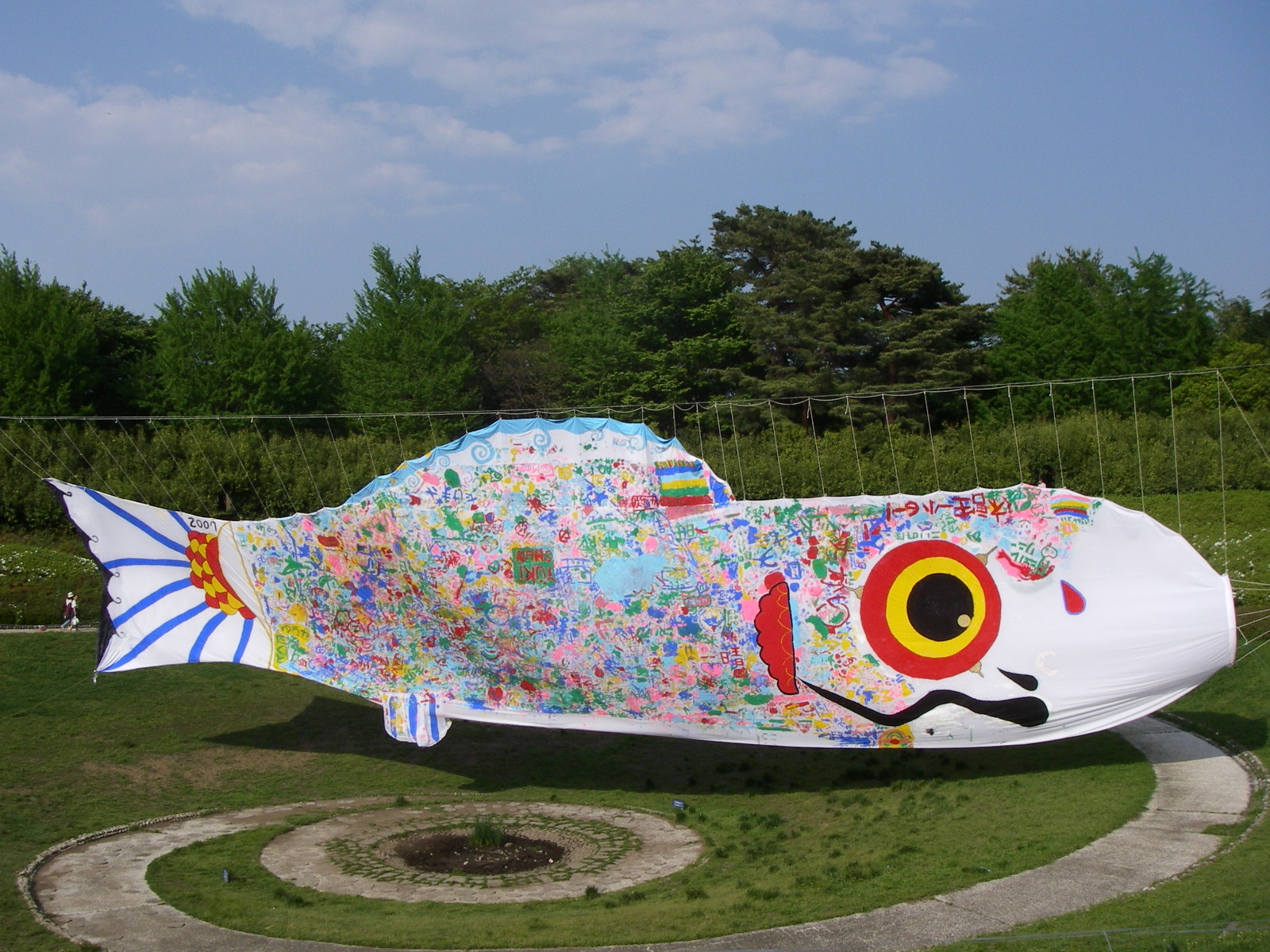 国営昭和記念公園 フラワーフェスティバル パート1 立川 東京 の旅行記 ブログ By 明日葉さん フォートラベル 国営昭和記念公園 フラワーフェスティバル パート1 立川 東京 の旅行記 ブログ By 明日葉さん フォートラベル