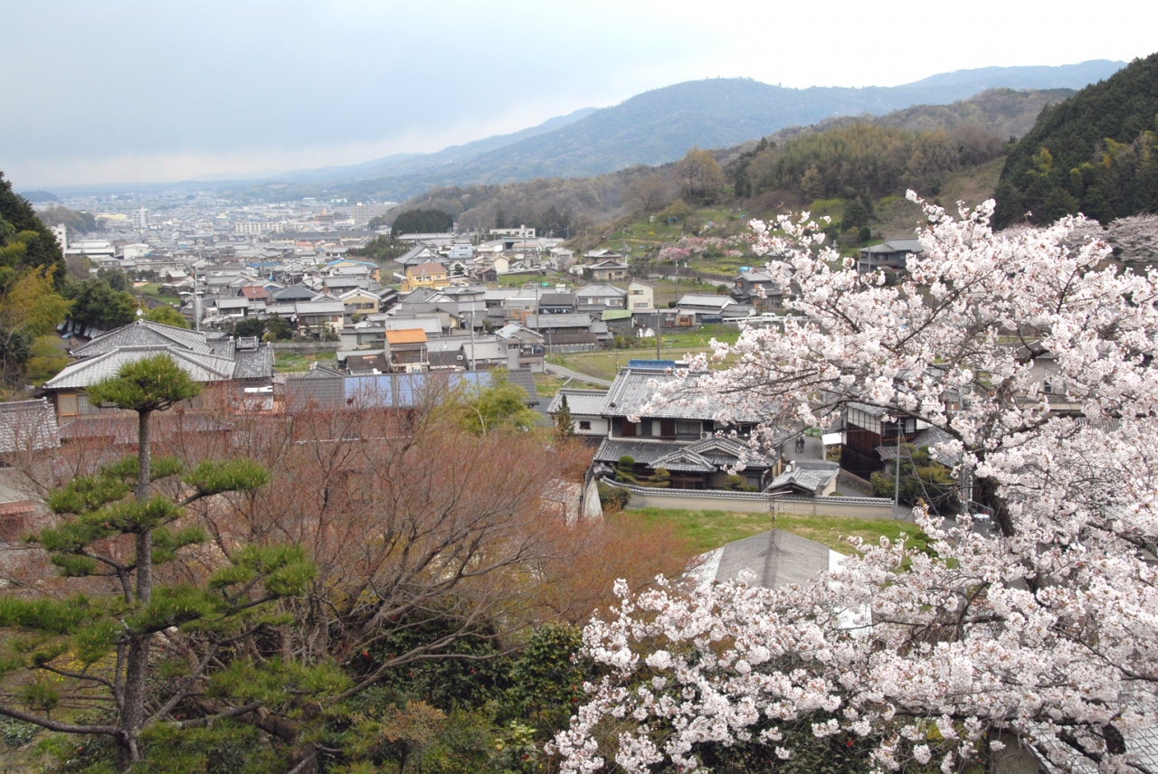奈良 桜紀行 談山神社から桜井へ 3 桜井 三輪 山の辺の道 奈良県 の旅行記 ブログ By どーもくんさん フォートラベル 奈良 桜紀行 談山神社から桜井へ 3 桜井 三輪 山の辺の道 奈良県 の旅行記 ブログ By どーもくんさん フォートラベル