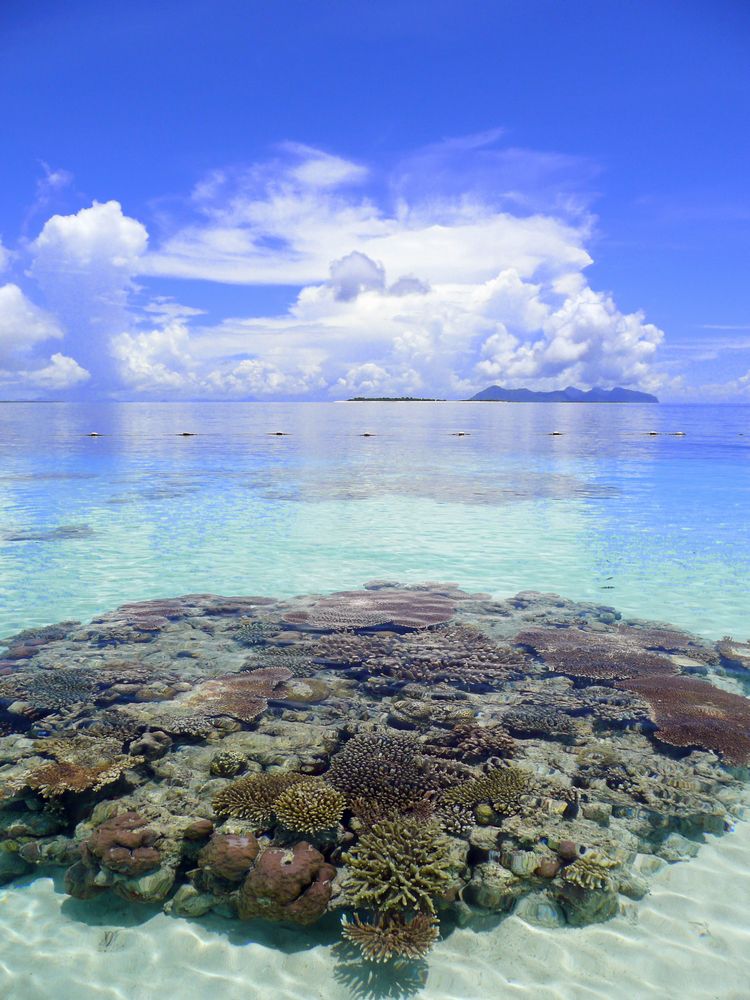 The Reef Dive Resort Mataking Island ボルネオ島 マレーシア の旅行記 ブログ By アンジャリさん フォートラベル The Reef Dive Resort Mataking Island ボルネオ島 マレーシア の旅行記 ブログ By アンジャリさん フォートラベル