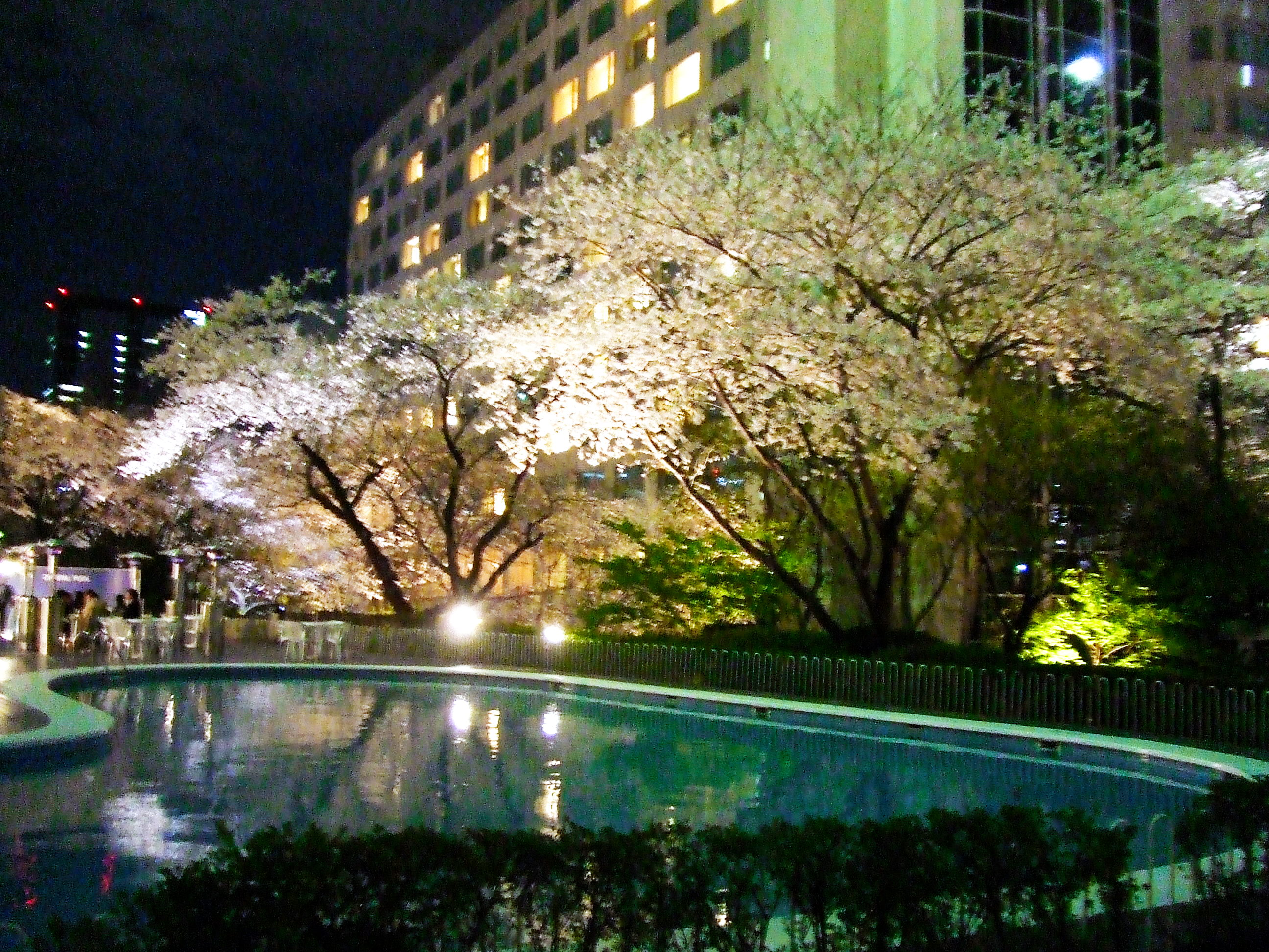 高輪のプリンス系３ホテル 07桜まつり 品川 東京 の旅行記 ブログ By ヴォルさん フォートラベル