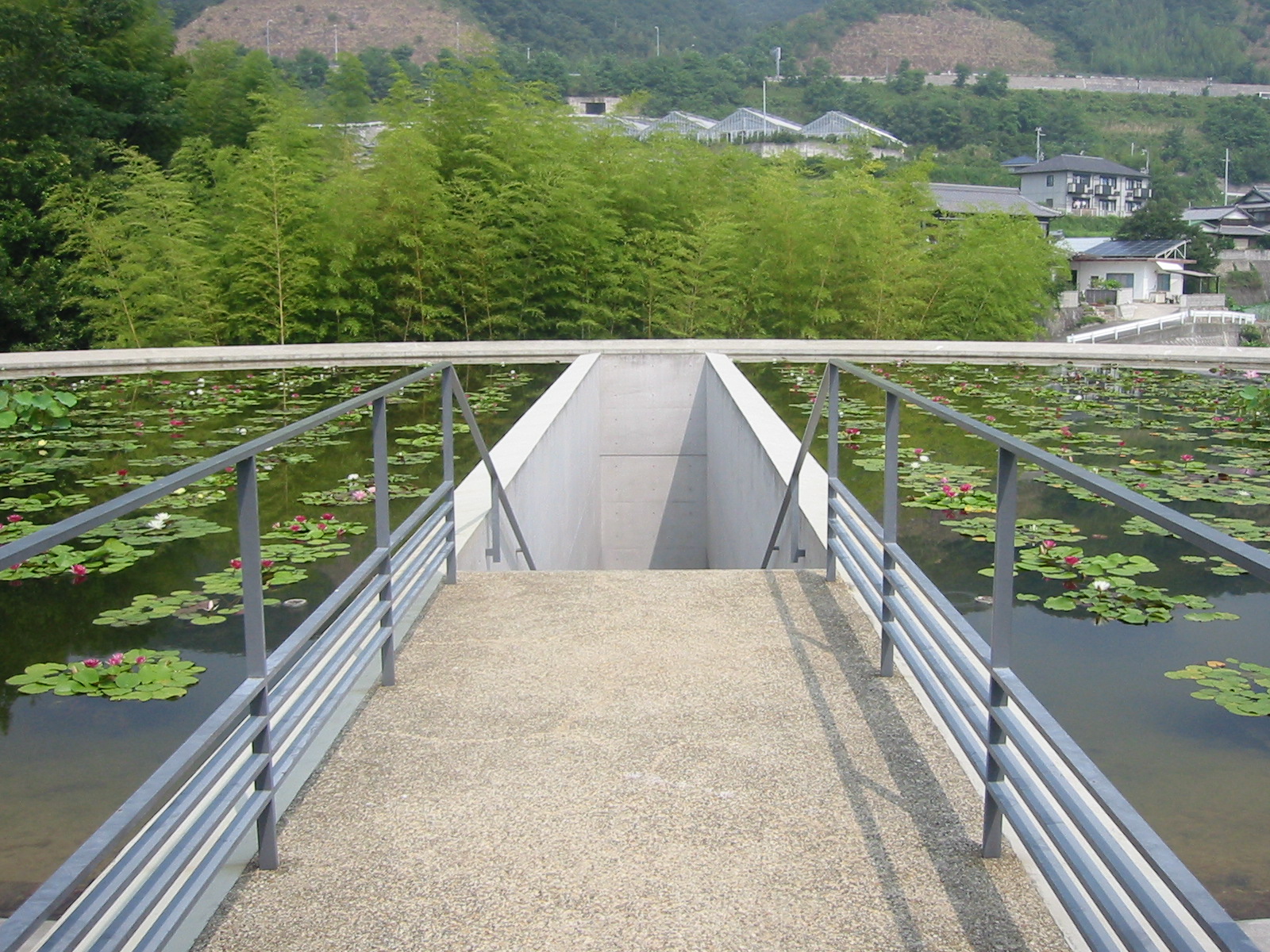 ウェスティンホテル淡路 安藤建築を巡る旅 淡路島 兵庫県 の旅行記 ブログ By カイフララニさん フォートラベル