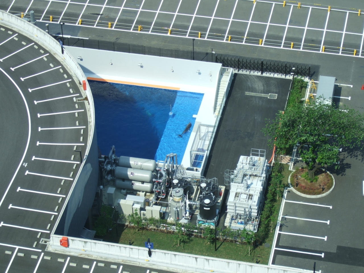 東京 品川プリンスhより イルカ 富士山が見える 07年5月 品川 東京 の旅行記 ブログ By Maiさん フォートラベル