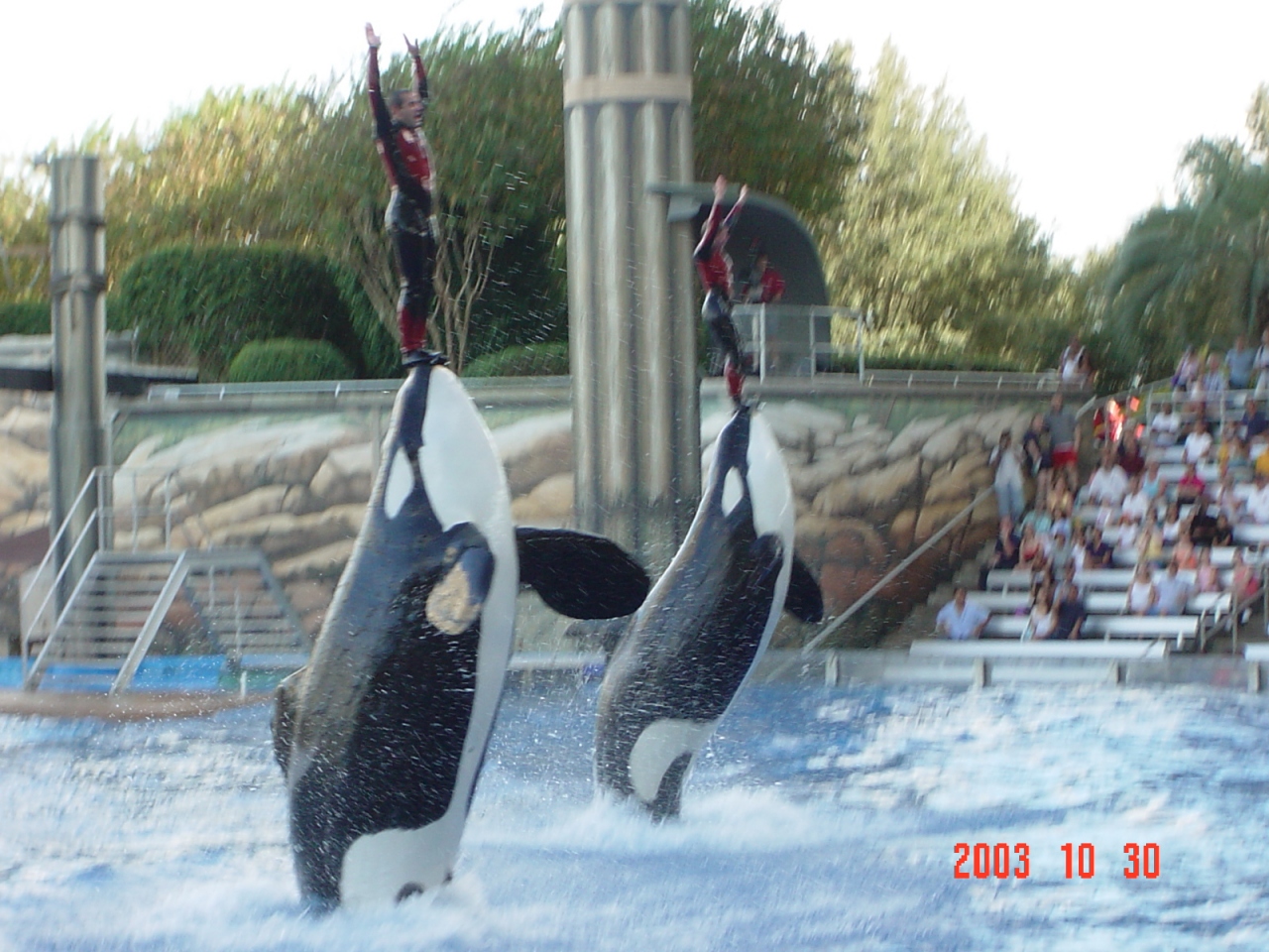 Seaworld Orlando 03 オーランド アメリカ の旅行記 ブログ By Tm Sukeさん フォートラベル Seaworld Orlando 03 オーランド アメリカ の旅行記 ブログ By Tm Sukeさん フォートラベル