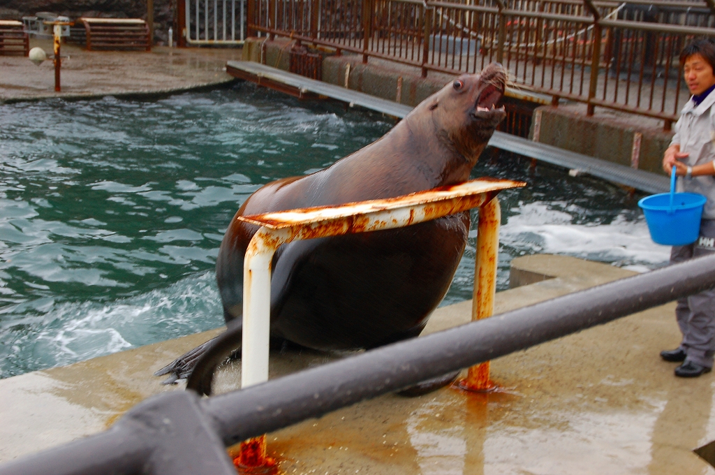 2年ぶりの北海道 2日目 小樽水族館編 小樽 北海道 の旅行記 ブログ By Anotherskyさん フォートラベル