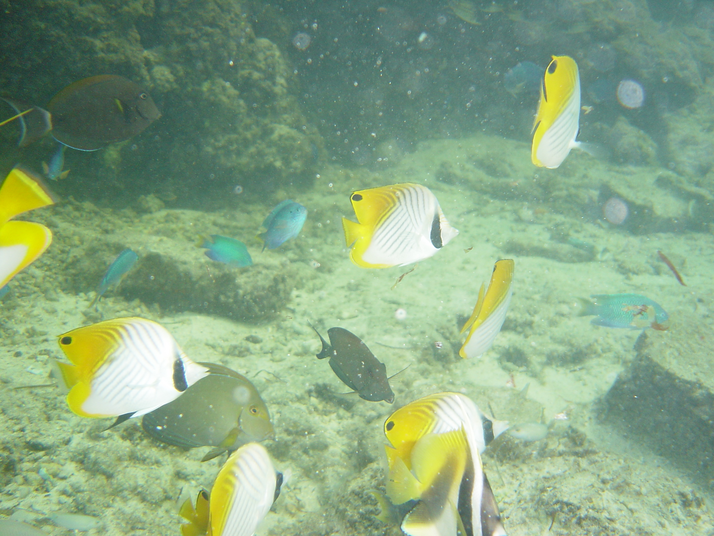 生まれて初めての海外旅行サイパンに行って来ました サイパン 北マリアナ諸島 の旅行記 ブログ By Rolly40noriさん フォートラベル 生まれて初めての海外旅行サイパンに行って来ました サイパン 北マリアナ諸島 の旅行記 ブログ By Rolly40noriさん フォートラベル