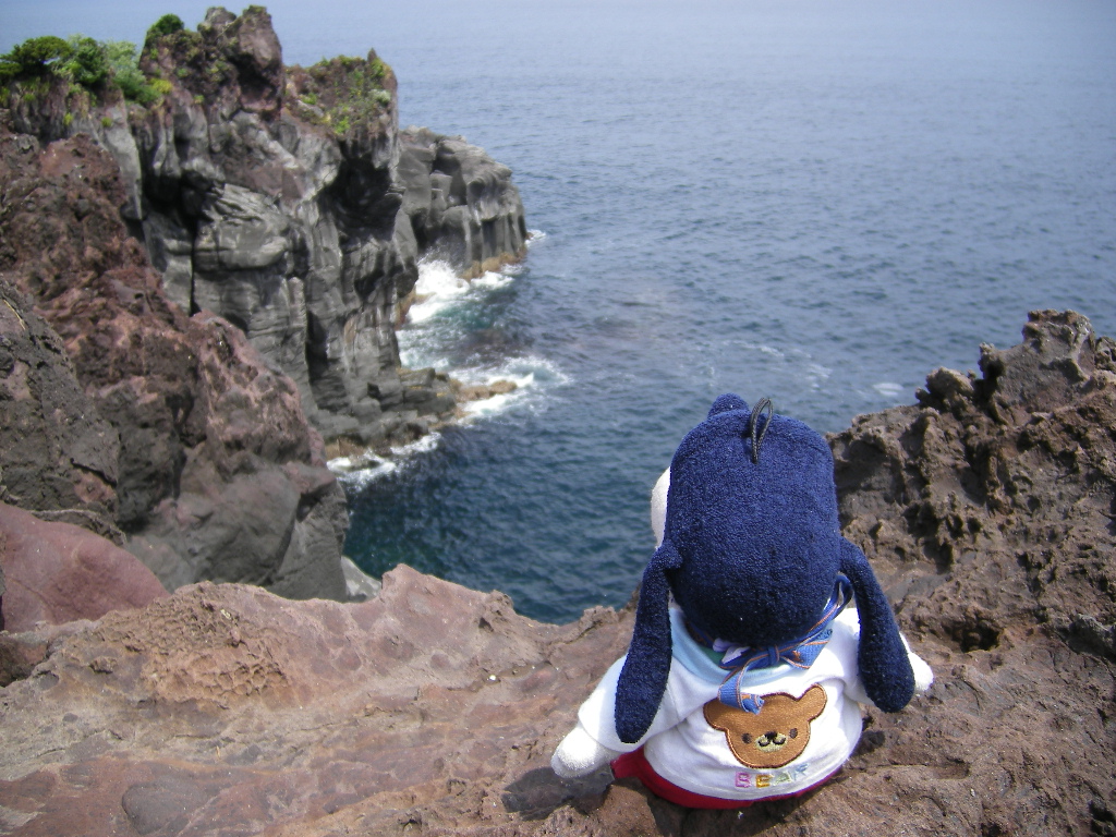 グーちゃん 城ケ崎海岸へ行く 富戸 一碧湖 城ヶ崎 静岡県 の旅行記 ブログ By グーちゃんさん フォートラベル