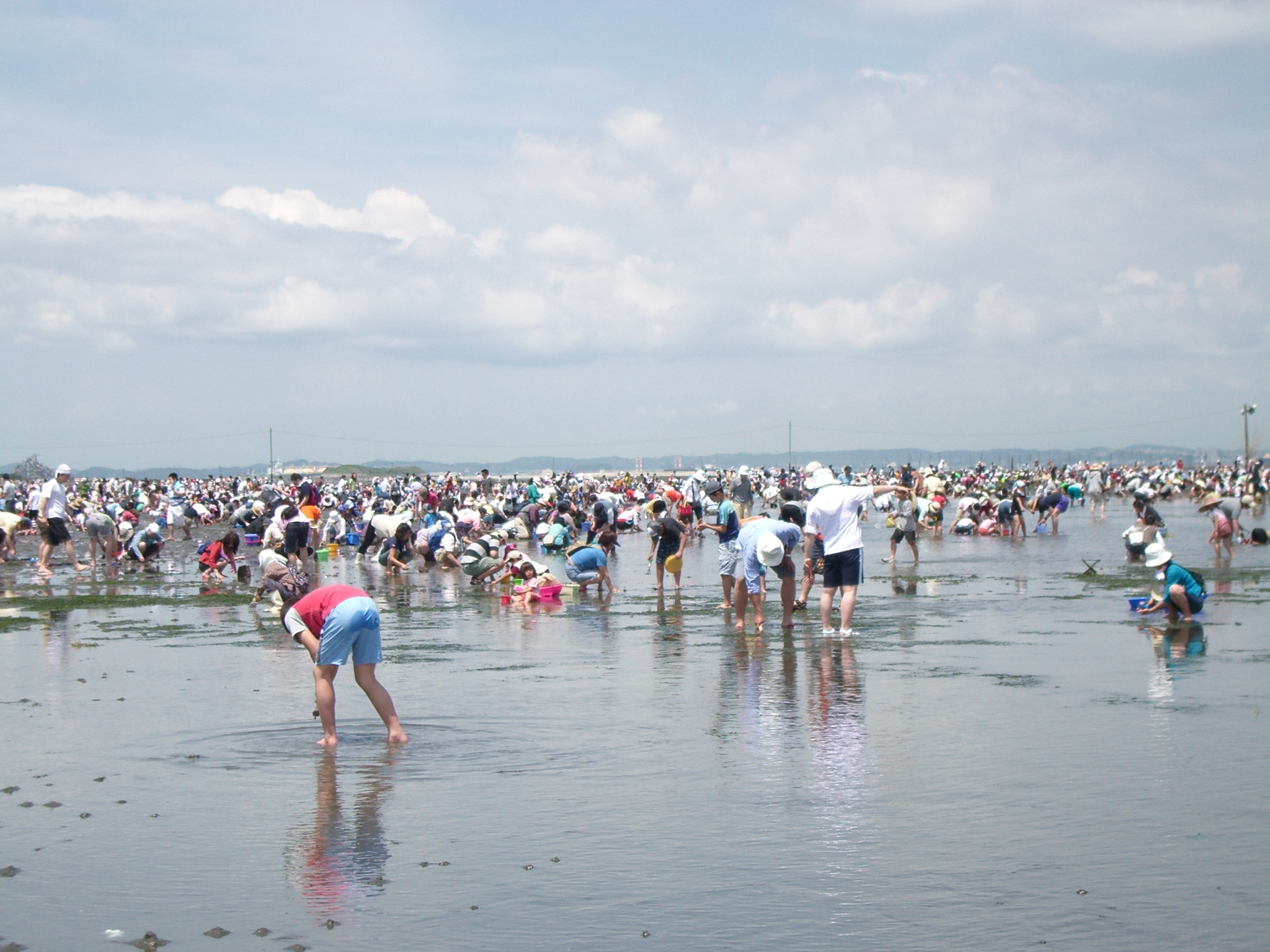 夏風を感じに潮干狩りへat房総半島 富津 千葉県 の旅行記 ブログ By しろあざらしさん フォートラベル 夏風を感じに潮干狩りへat房総半島 富津 千葉県 の旅行記 ブログ By しろあざらしさん フォートラベル