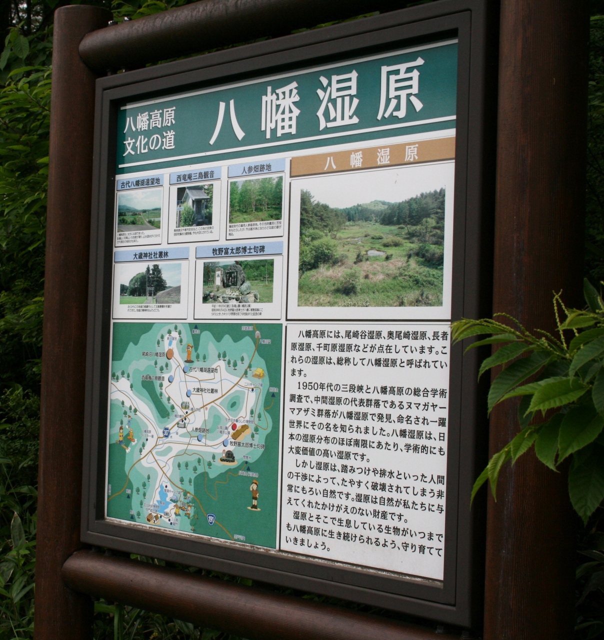 ひとり旅 78 想い出さがして 八幡高原photo 広島県旧芸北町 三段峡 安芸太田 北広島 広島県 の旅行記 ブログ By Mechagodzilla 703さん フォートラベル ひとり旅 78 想い出さがして 八幡高原photo 広島県旧芸北町 三段峡 安芸太田 北広島 広島県 の旅行記 ブログ By Mechagodzilla 703さん フォートラベル