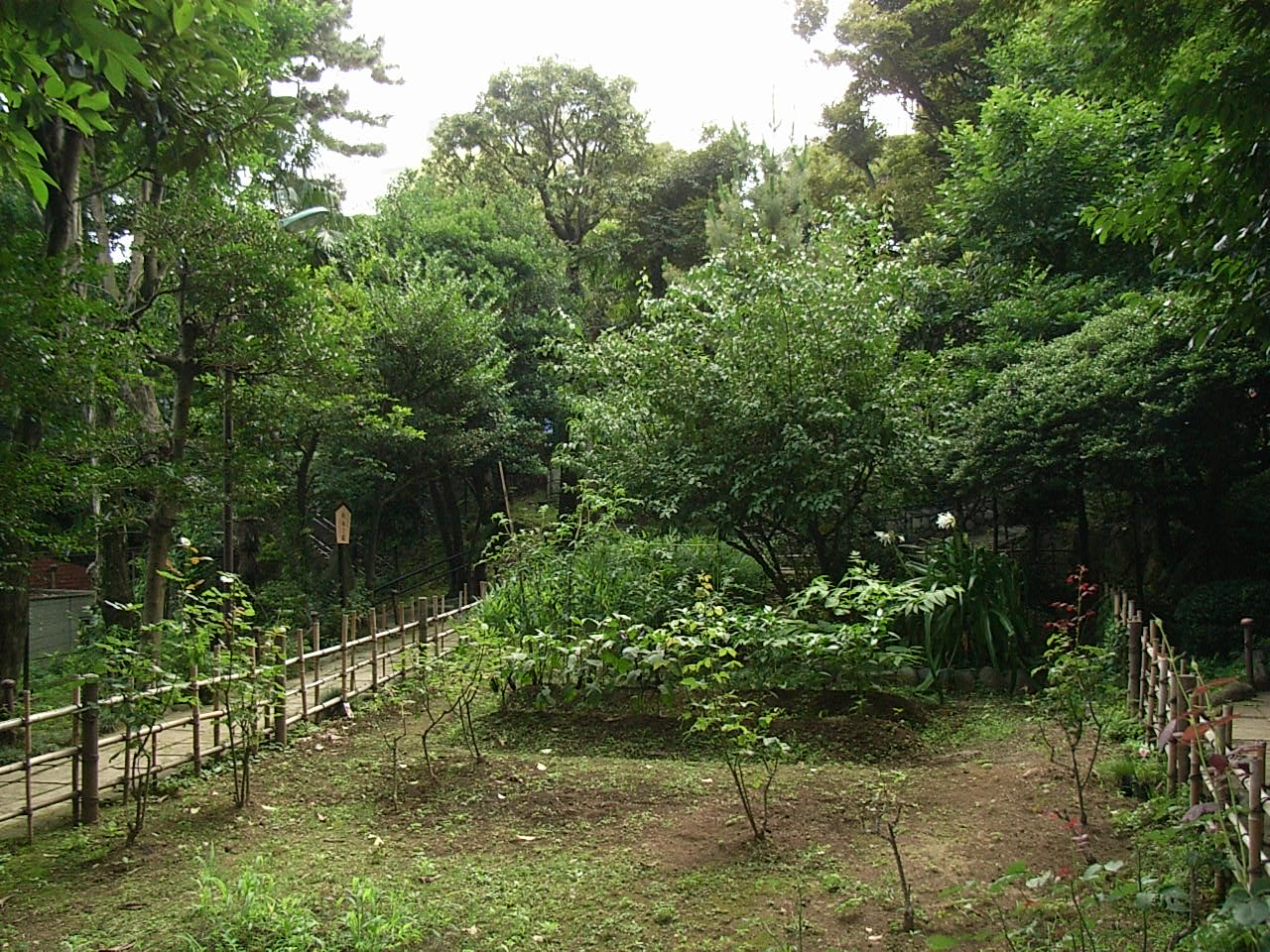 乃木神社で明治を締める 市ヶ谷 東京 の旅行記 ブログ By のださん フォートラベル