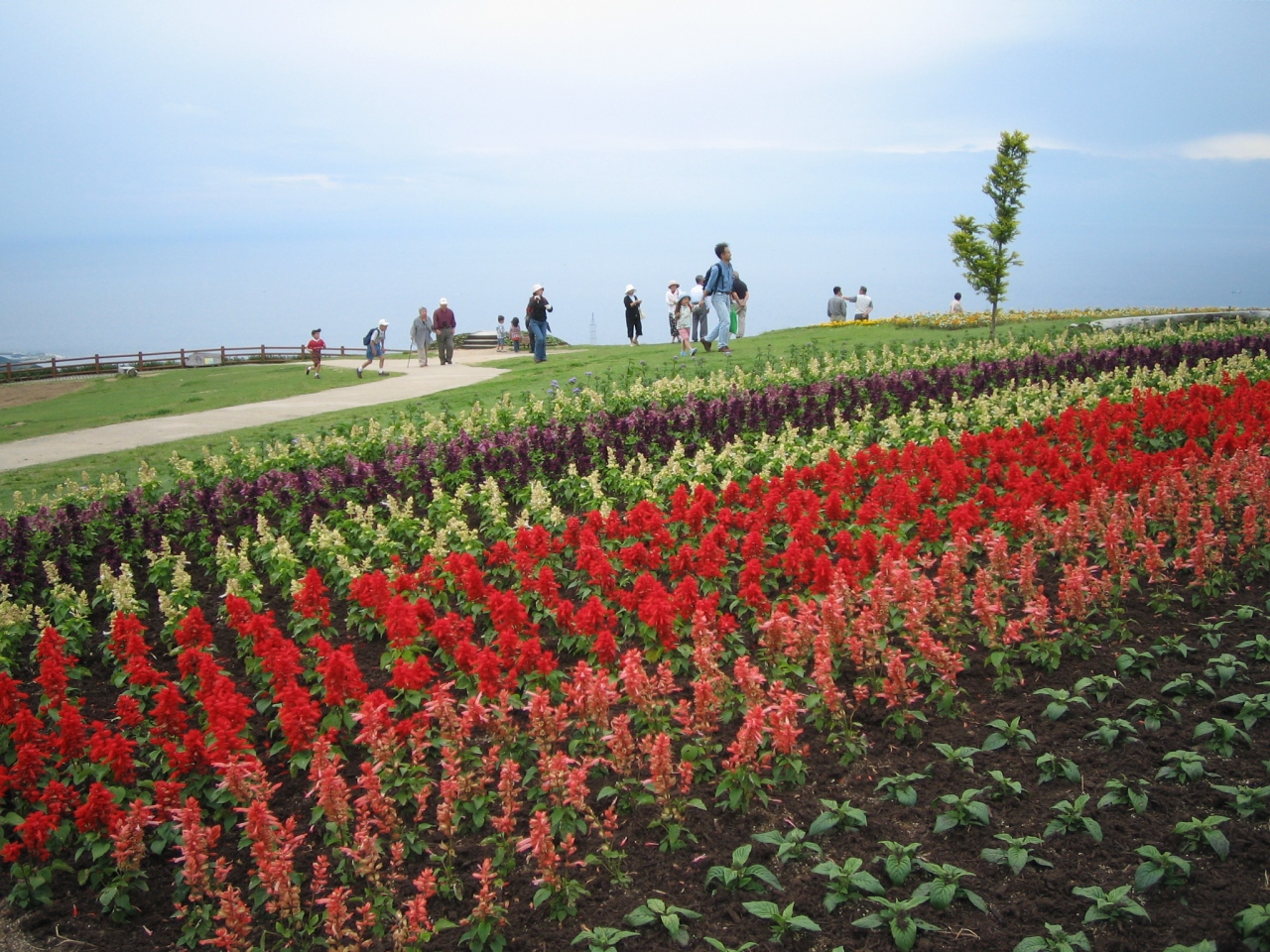 淡路島 徳島1泊2日の旅 淡路島編 兵庫県の旅行記 ブログ By kana さん フォートラベル 淡路島 徳島1泊2日の旅 淡路島編 兵庫県の旅行記 ブログ By kana さん フォートラベル