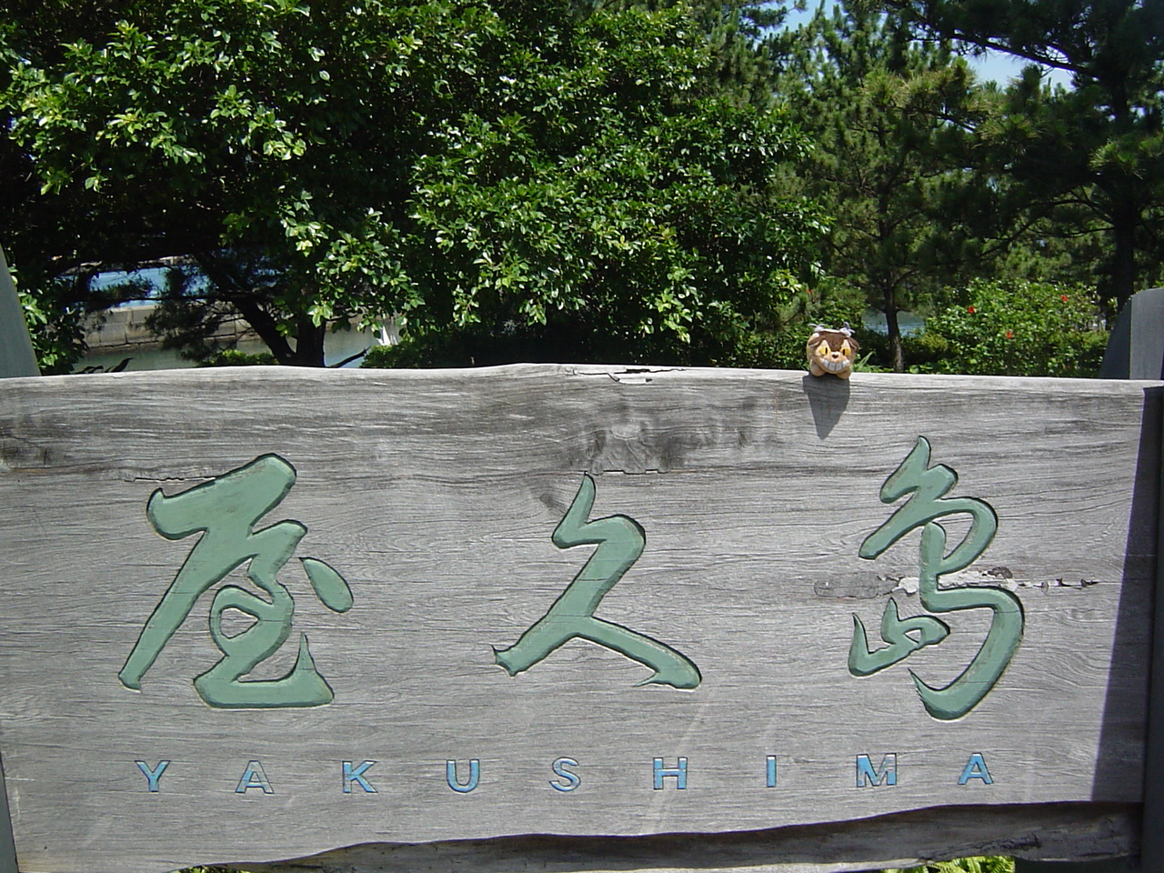 屋久島旅行記 晴耕雨読 横河渓谷 永田浜 屋久島 鹿児島県 の旅行記 ブログ By Murenekoさん フォートラベル
