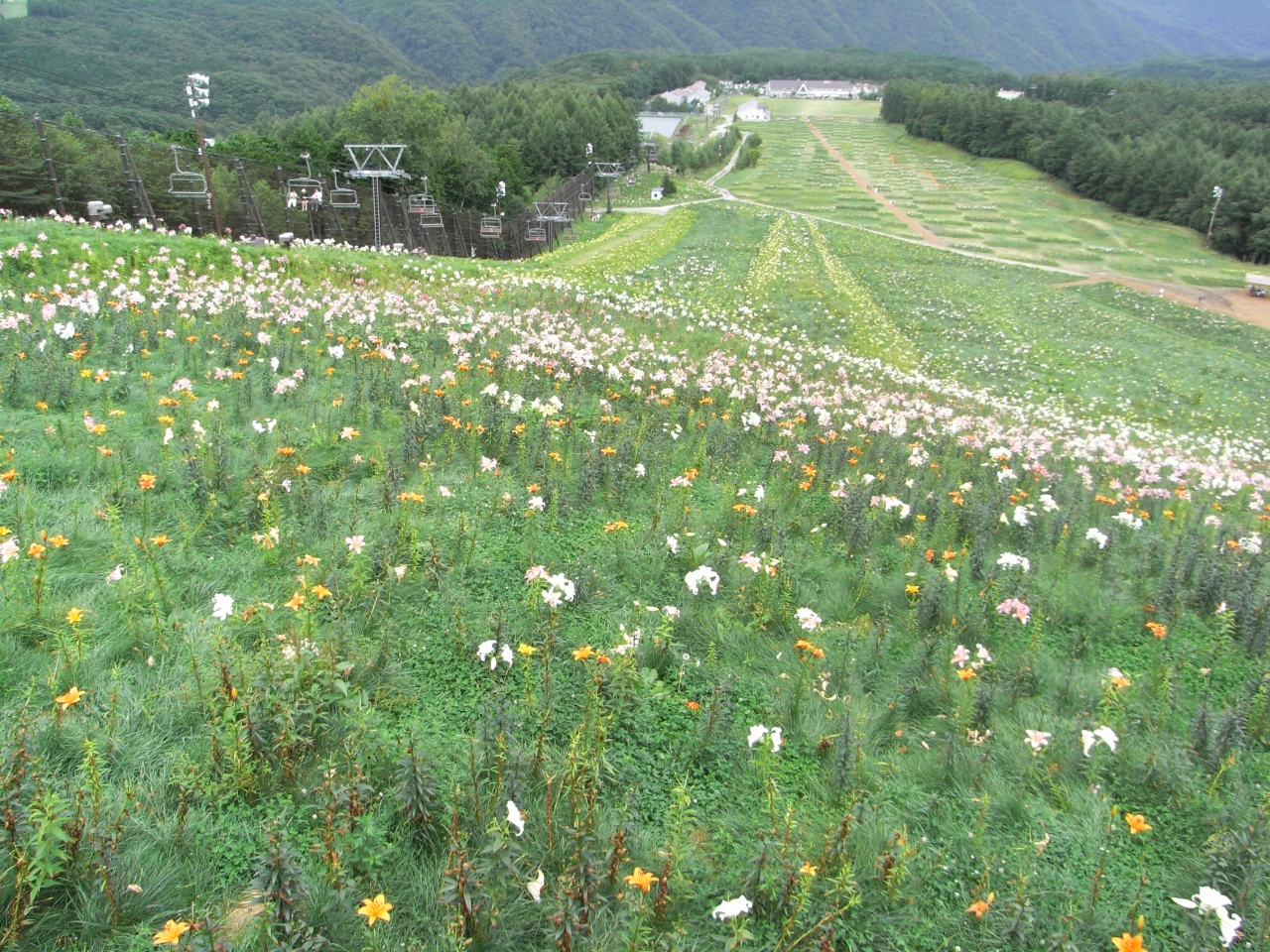 夏のハンターマウンテン 栃木県の旅行記 ブログ By Celestial Travelerさん フォートラベル