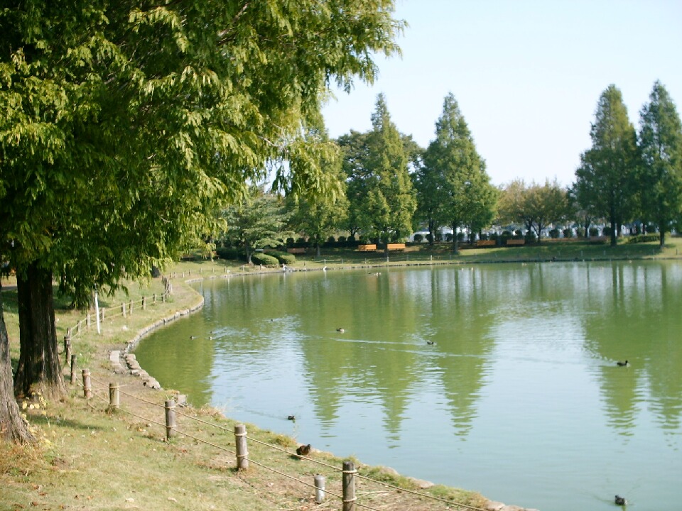 『川越水上公園』川越(埼玉県)の旅行記・ブログ by 青山蒼渓さん【フォートラベル】