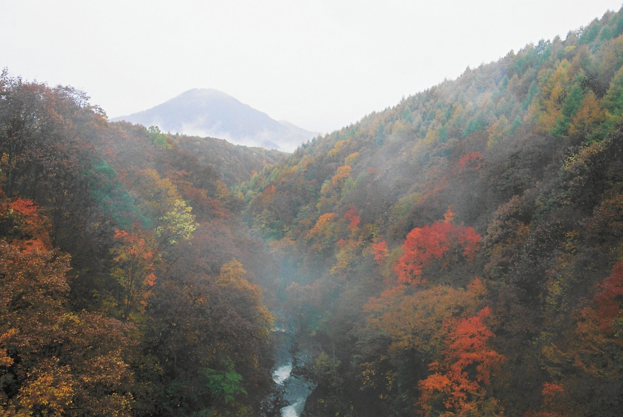 とりあえず 雨の裏磐梯 1 中津川渓谷 レークライン 裏磐梯 猫魔 福島県 の旅行記 ブログ By ファルコンさん フォートラベル