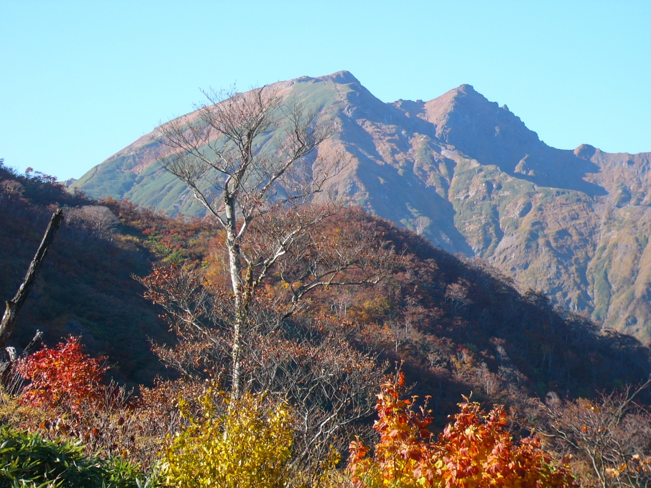 谷川岳 天神平など 紅葉日帰り 水上温泉 群馬県 の旅行記 ブログ By バグースさん フォートラベル