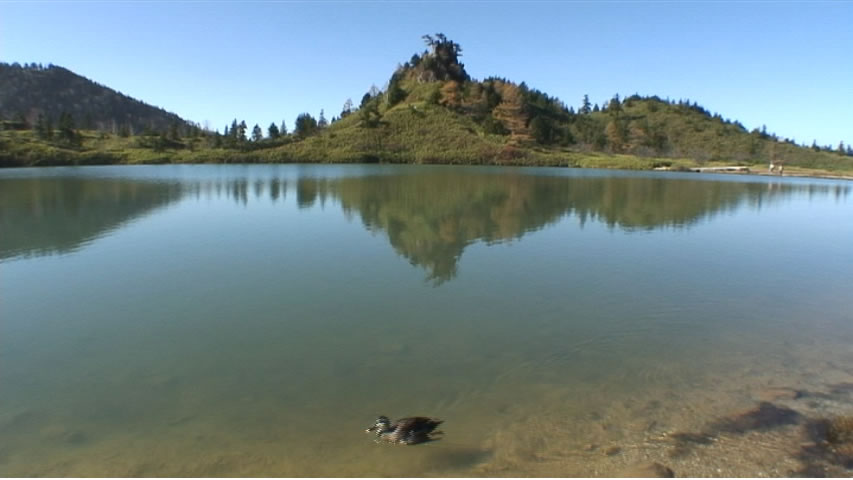 動画あり 草津白根山 弓池の紅葉散策 草津温泉 群馬県 の旅行記 ブログ By ソーラーキングさん フォートラベル