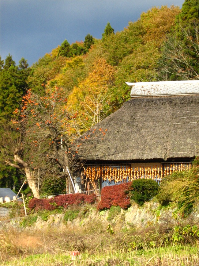 秋を満喫 北茨城ドライブ 前半 常陸大宮 茨城県 の旅行記 ブログ By まりも母さん フォートラベル