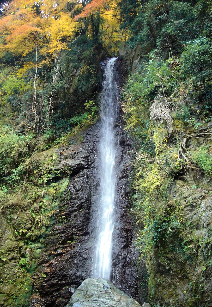 養老公園の紅葉 養老 岐阜県 の旅行記 ブログ By Spaceglowさん フォートラベル 養老公園の紅葉 養老 岐阜県 の旅行記 ブログ By Spaceglowさん フォートラベル