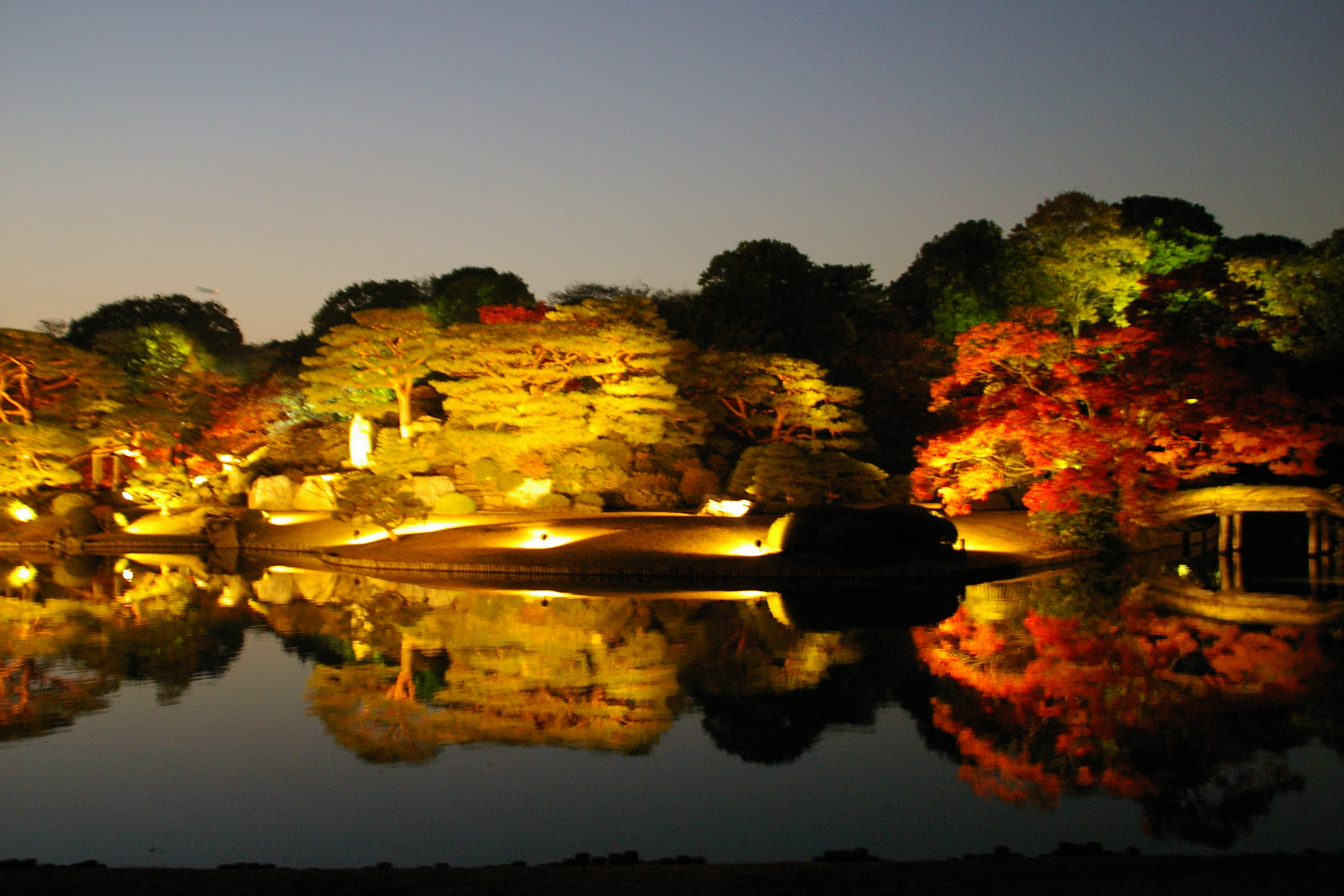 色づき始めた六義園の紅葉そして盛りのライトアップ 大塚 巣鴨 駒込 東京 の旅行記 ブログ By Canさん フォートラベル