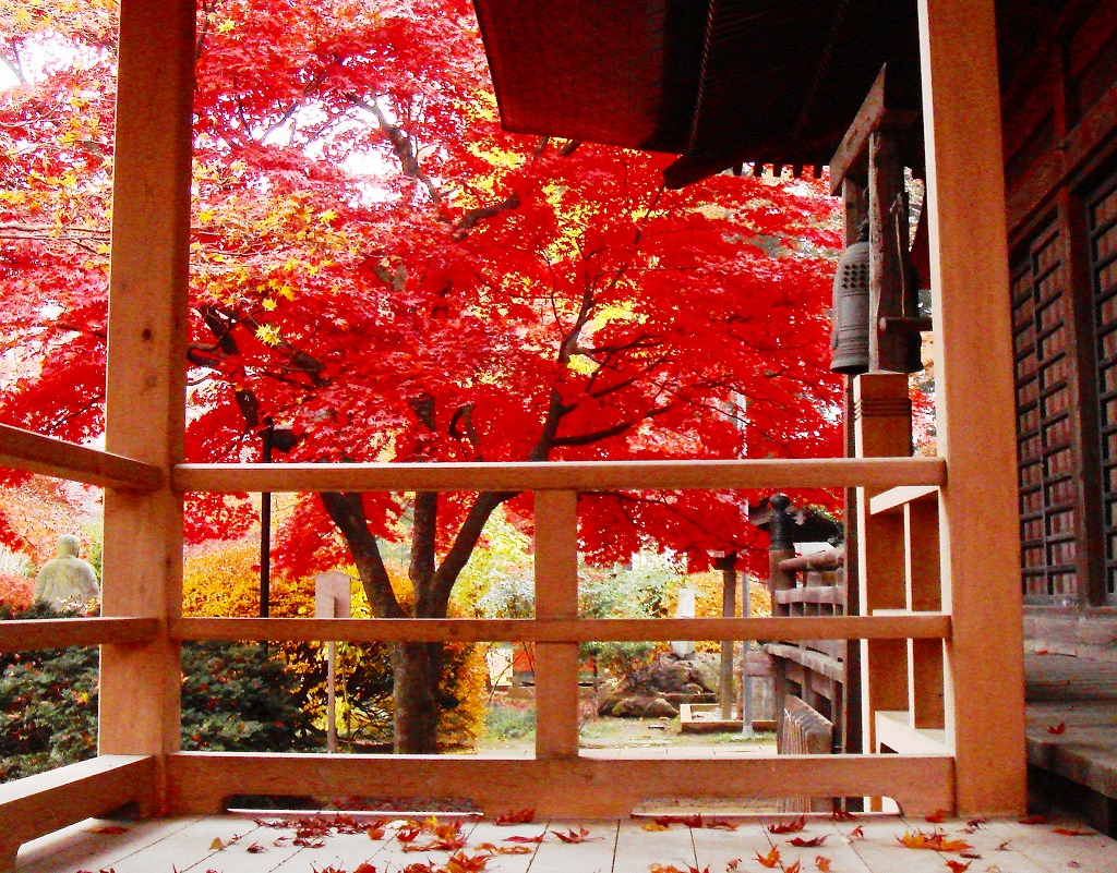 多聞院 紅葉情報 所沢 埼玉県 の旅行記 ブログ By 花ところさん フォートラベル