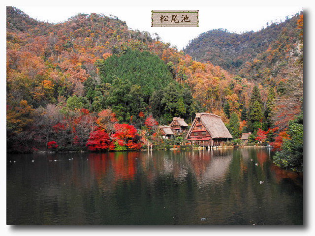 紅葉/松尾池』岐阜市(岐阜県)の旅行記・ブログ by 風に吹かれて旅人さん【フォートラベル】
