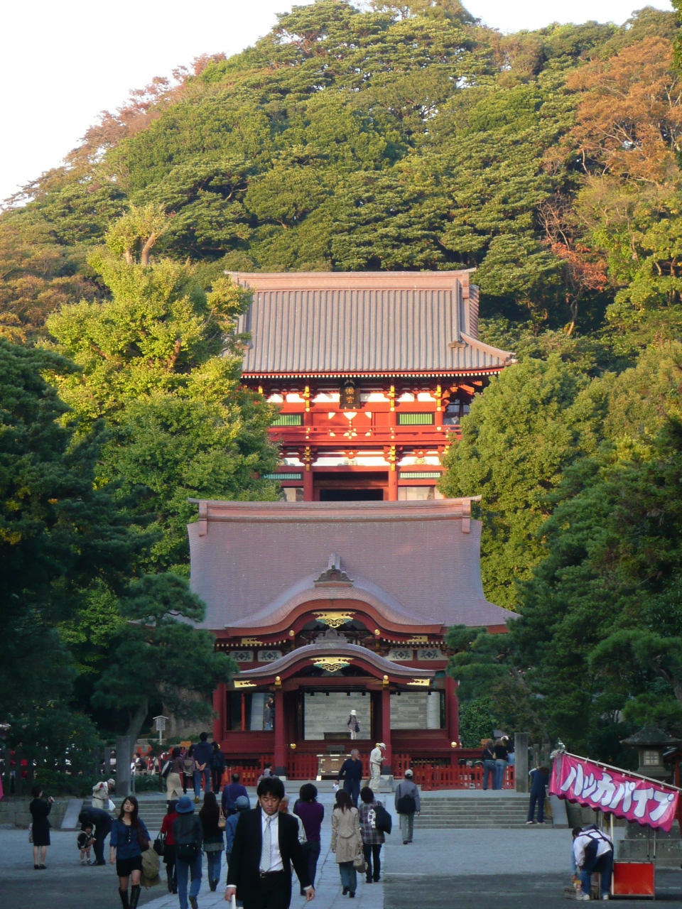 秋の鎌倉 紅葉を求めて 4 鶴岡八幡宮 鎌倉 神奈川県 の旅行記 ブログ By 紅ざかなさん フォートラベル
