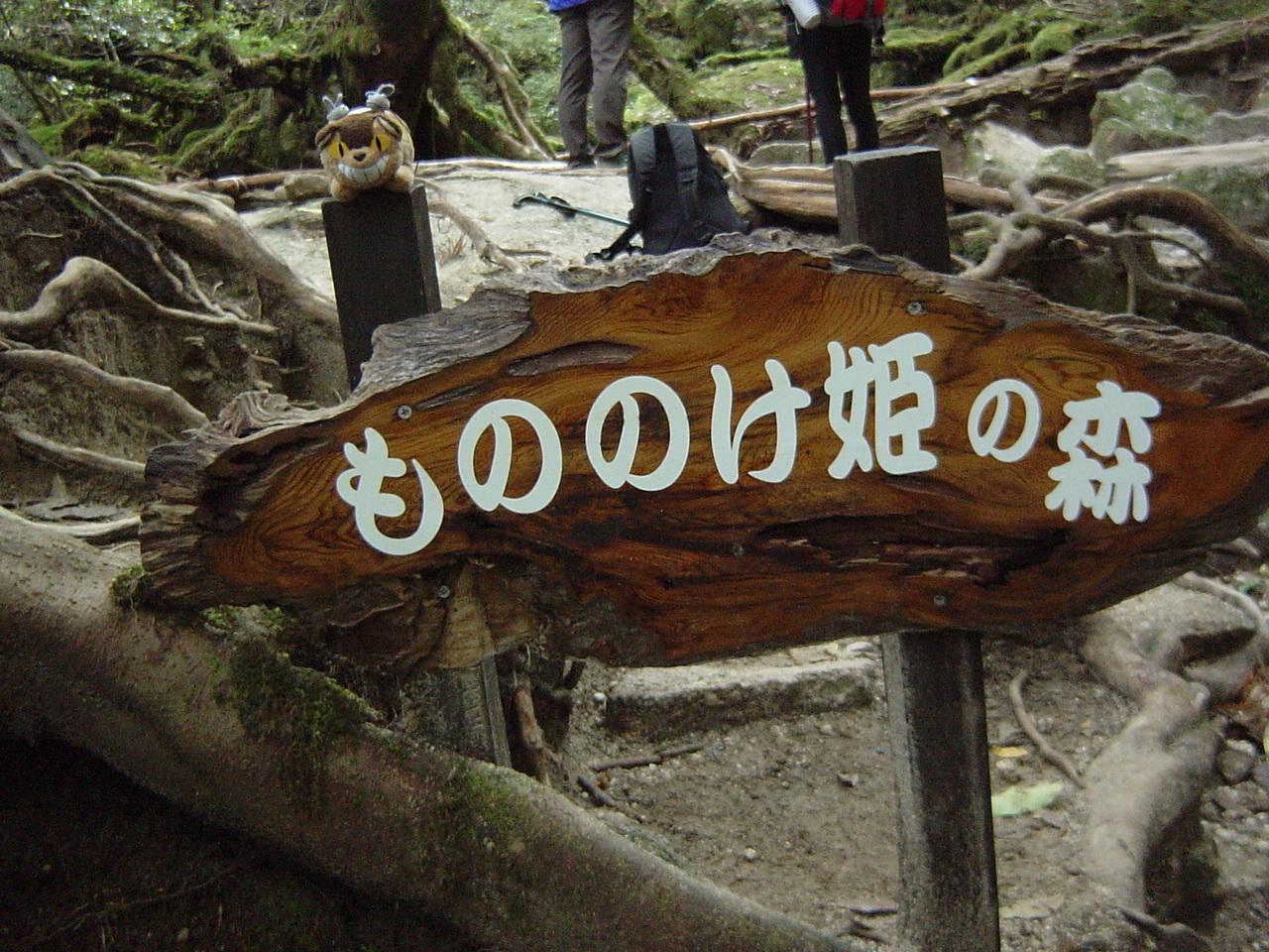 宮之浦岳 縄文杉縦走 太鼓岩 白谷雲水峡 屋久島 鹿児島県 の旅行記 ブログ By Murenekoさん フォートラベル