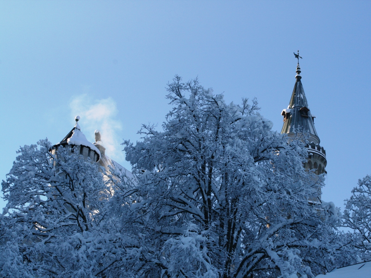 07暮 ドイツ旅行記 16 12月16日 2 雪景色の中のノイシュヴァンシュタイン城 フュッセン ドイツ の旅行記 ブログ By 旅人のくまさんさん フォートラベル