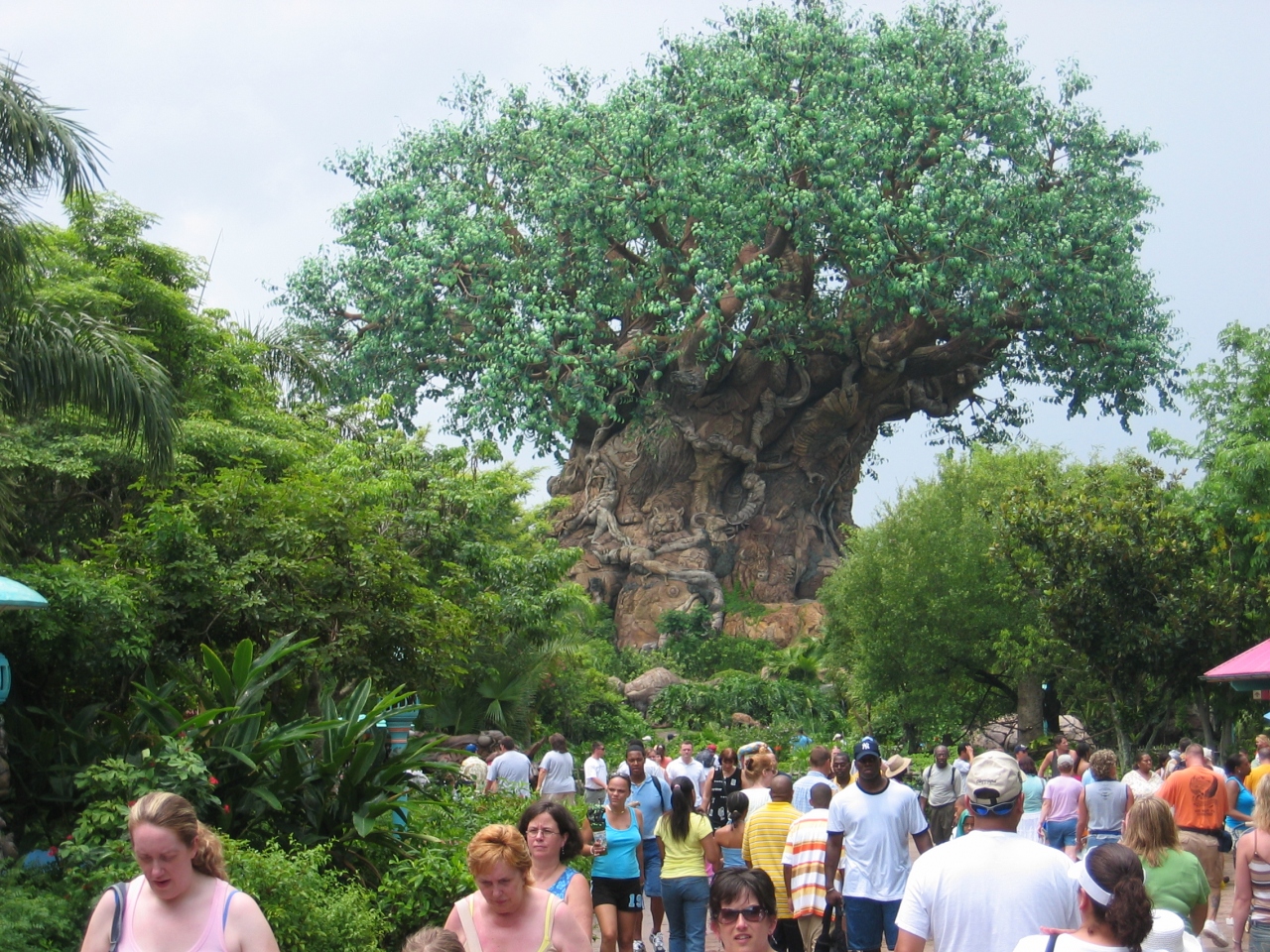 05年5度目のオーランド ディズニーアニマルキングダム オーランド アメリカ の旅行記 ブログ By ぴろろんさん フォートラベル