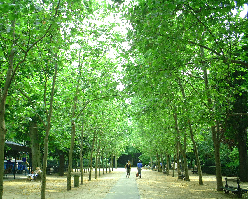 リュクサンブール公園　 Jardin du Luxembourg