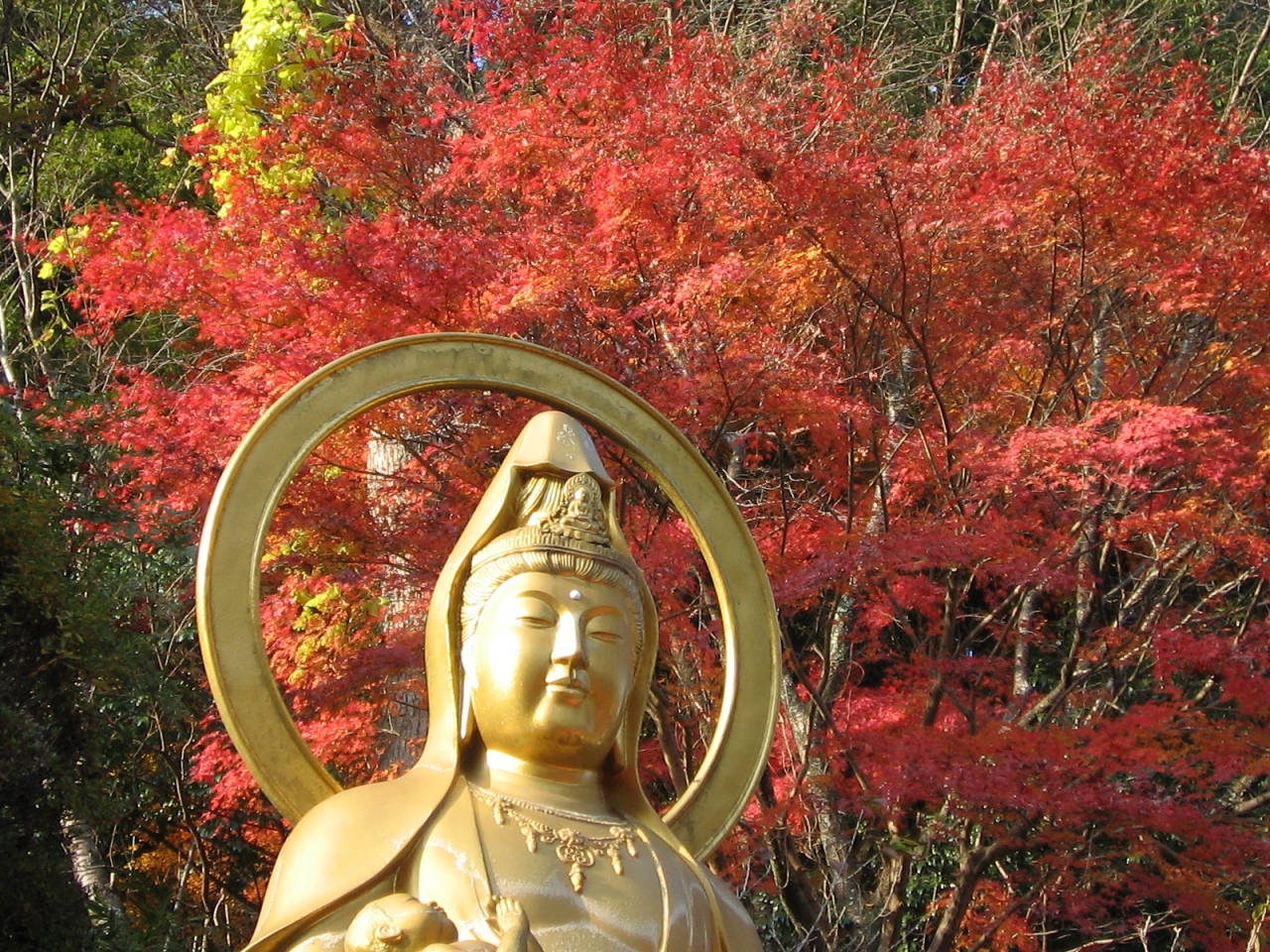 奈良 長谷寺 談山神社の紅葉 桜井 三輪 山の辺の道 奈良県 の旅行記 ブログ By ｋａｎａ さん フォートラベル