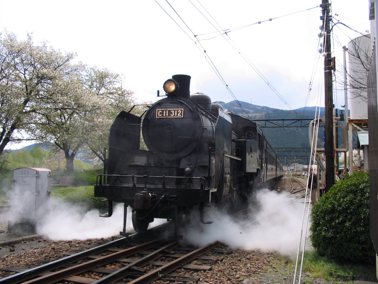 家山の桜 川根温泉 大井川鉄道sl C11 312 川根 井川 静岡県 の旅行記 ブログ By めーてる隊長さん フォートラベル