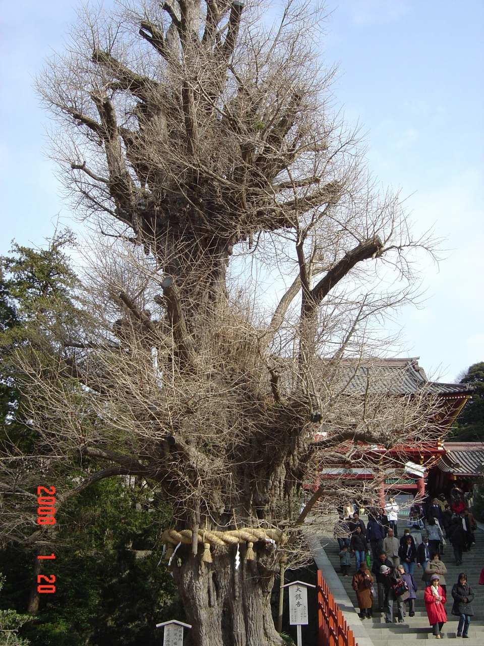 鶴岡八幡宮殺人事件の思い込み 神奈川県の旅行記 ブログ By 夏への扉さん フォートラベル 鶴岡八幡宮殺人事件の思い込み 神奈川県の旅行記 ブログ By 夏への扉さん フォートラベル