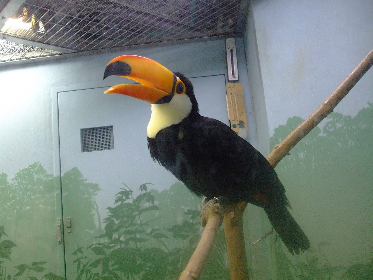 東山動物園の自然動物館にいる生き物たち 千種 今池 愛知県 の旅行記 ブログ By みなみさん フォートラベル 東山動物園の自然動物館にいる生き物たち 千種 今池 愛知県 の旅行記 ブログ By みなみさん フォートラベル