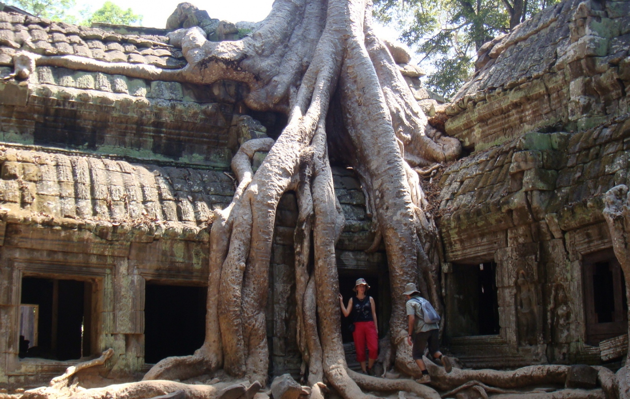 アンコール遺跡群 自転車見学 タ プローム Ta Prohm シェムリアップ カンボジア の旅行記 ブログ By しんちゃんさん フォートラベル