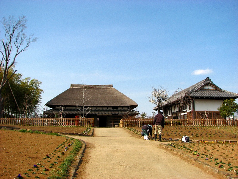 春 都市農業公園ー 北千住 南千住 東京 の旅行記 ブログ By 義臣さん フォートラベル