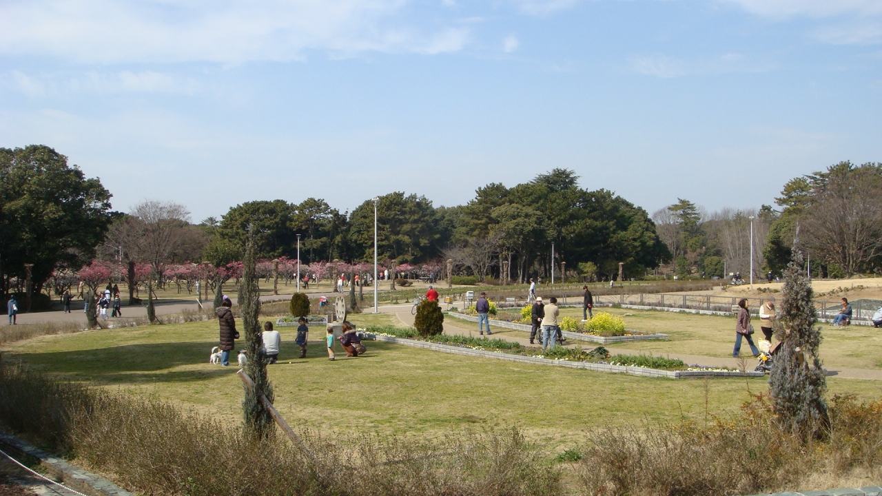 服部緑地公園の梅林 伊丹空港 豊中 大阪 の旅行記 ブログ By Hn11さん フォートラベル