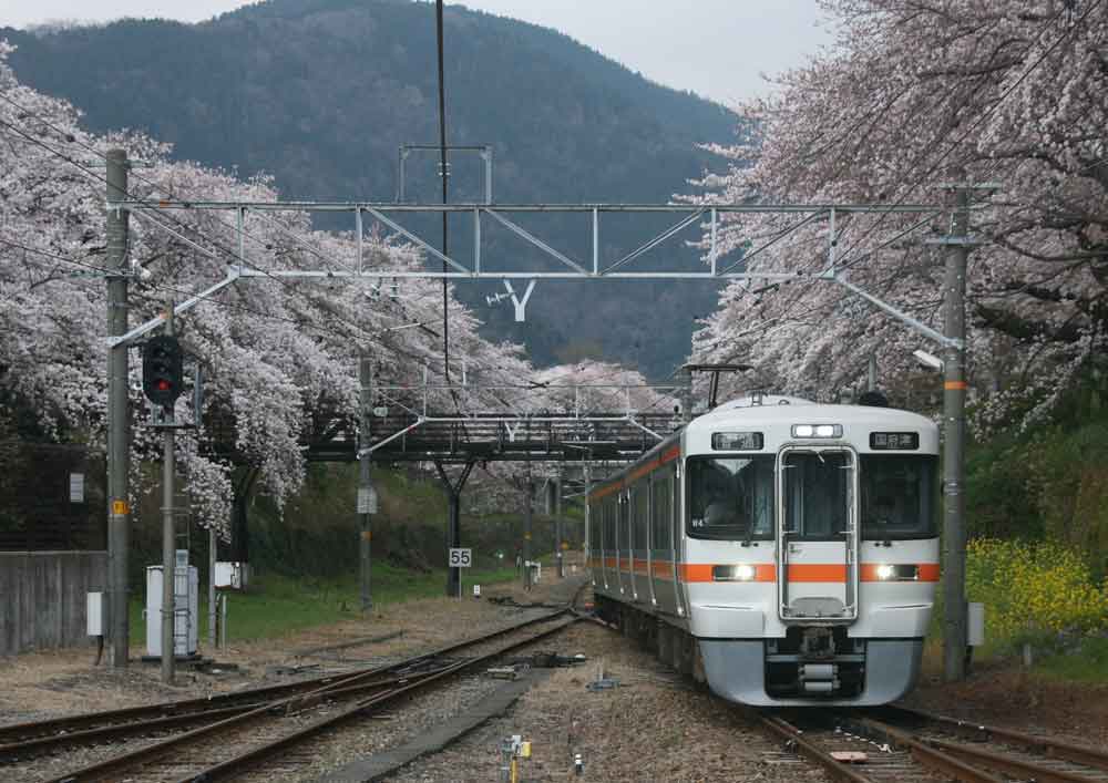 山北駅周辺は桜満開 丹沢 大山 神奈川県 の旅行記 ブログ By てんとう虫さん フォートラベル 山北駅周辺は桜満開 丹沢 大山 神奈川県 の旅行記 ブログ By てんとう虫さん フォートラベル
