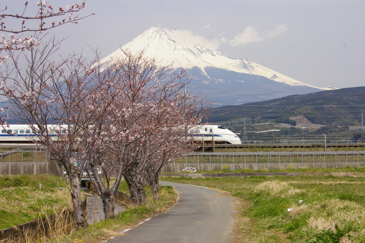 08桜日記 第4弾 新幹線と富士山と桜 菜の花 編 富士 静岡県 の旅行記 ブログ By Spitfirebuzz90さん フォートラベル 08桜日記 第4弾 新幹線と富士山と桜 菜の花 編 富士 静岡県 の旅行記 ブログ By Spitfirebuzz90さん フォートラベル