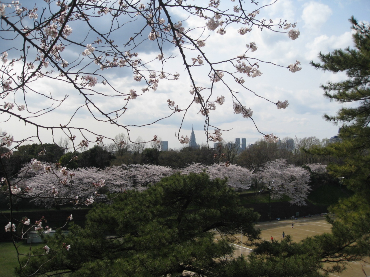 春が来ました 人も出ました 四ツ谷 東京 の旅行記 ブログ By M Koku1さん フォートラベル