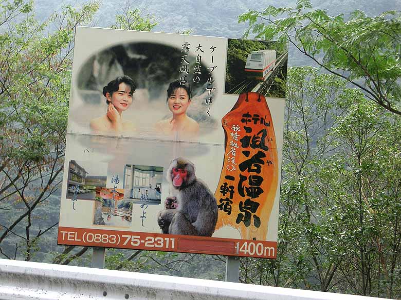 私の温泉宿１００選 ホテル祖谷温泉 徳島県 祖谷渓 かずら橋 大歩危 徳島県 の旅行記 ブログ By Yakkunnさん フォートラベル