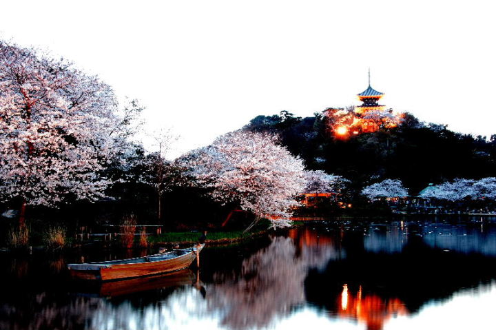 三渓園の夜桜 本牧 根岸 磯子 神奈川県 の旅行記 ブログ By 気まぐれなデジカメ館さん フォートラベル