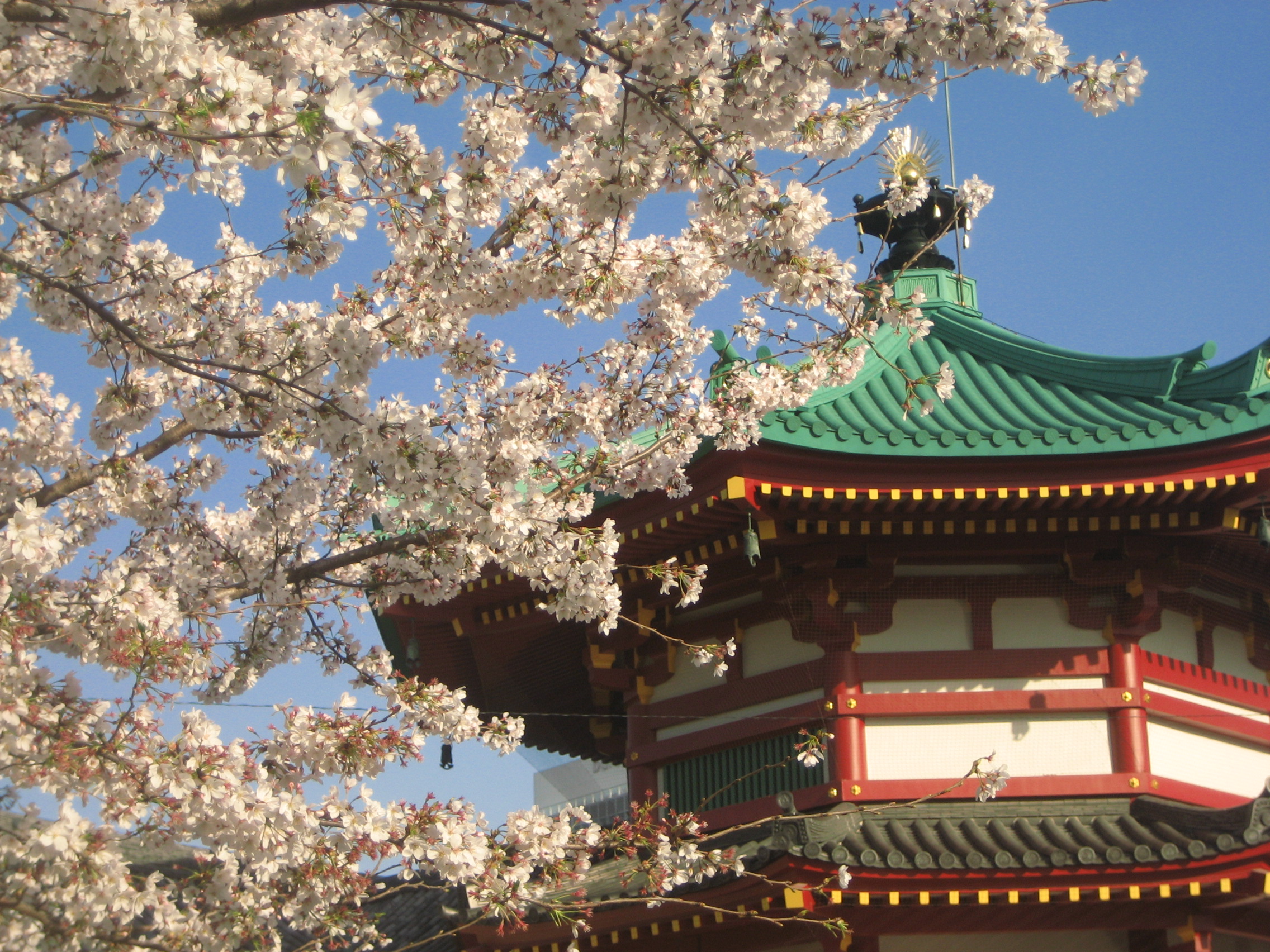 念願の桜の季節の上野公園 2 念願中の念願 不忍池の桜 上野 御徒町 東京 の旅行記 ブログ By まみさん フォートラベル