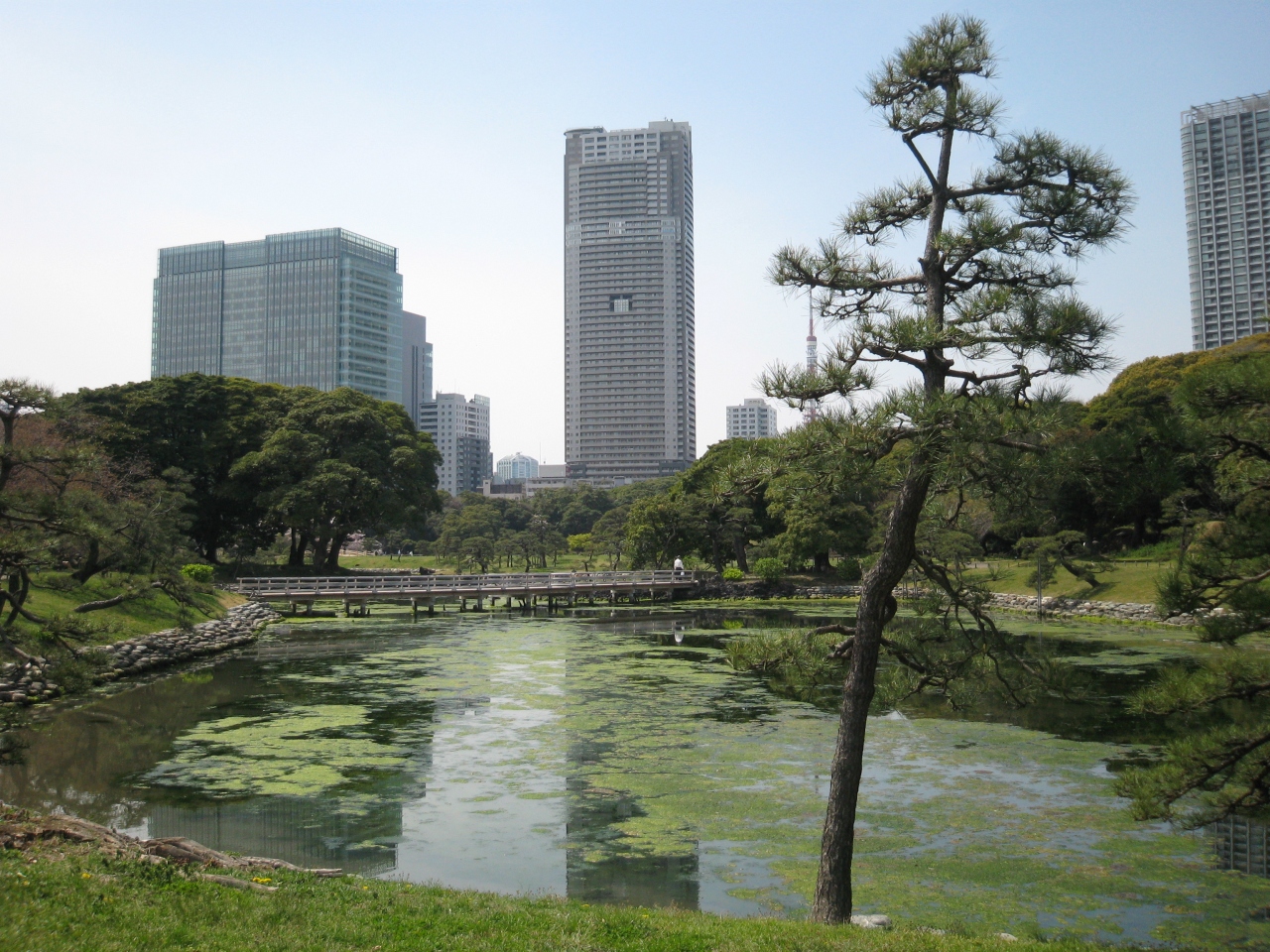 花見 築地 浜離宮恩賜庭園 汐留 築地 東京 の旅行記 ブログ By Sayakaさん フォートラベル